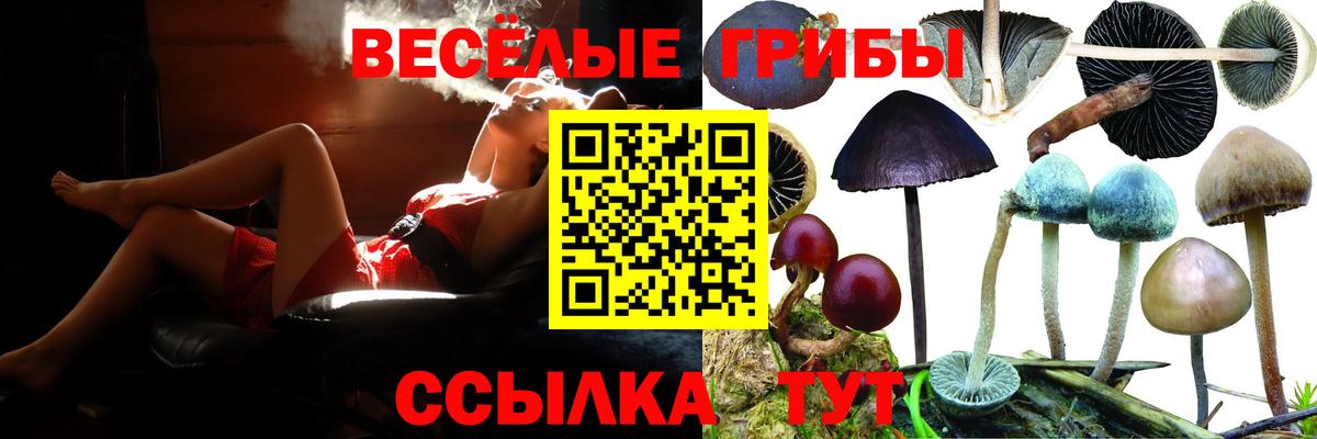 Кинель  Галлюциногенные грибы GOLDEN TEACHER  как найти закладки  Вход с VPN 